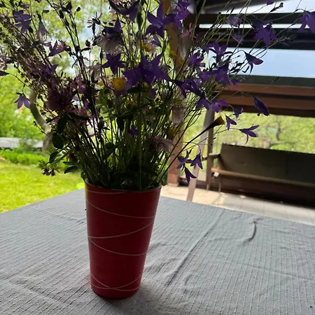 Garden & Relax *